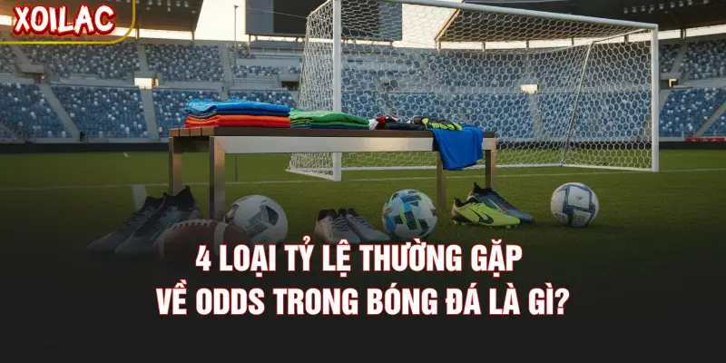 4 loại tỷ lệ thường gặp về Odds trong bóng đá là gì?