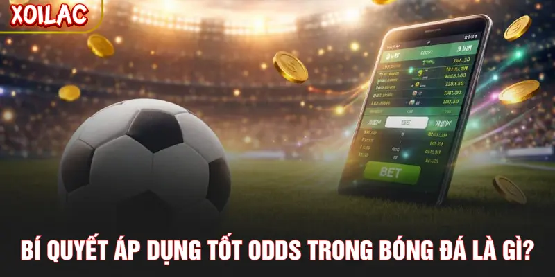 Bí quyết áp dụng tốt Odds trong bóng đá là gì?