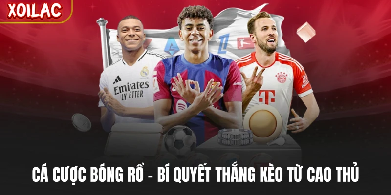 Cá Cược Bóng Rổ - Bí Quyết Thắng Kèo Từ Cao Thủ