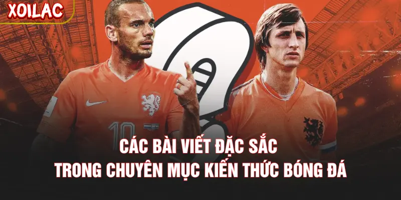 Các bài viết đặc sắc trong chuyên mục kiến thức bóng đá
