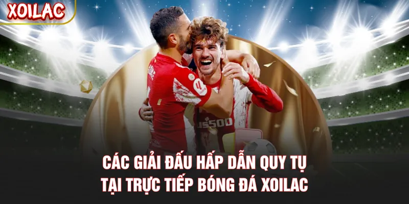 Các giải đấu hấp dẫn quy tụ tại trực tiếp bóng đá Xoilac