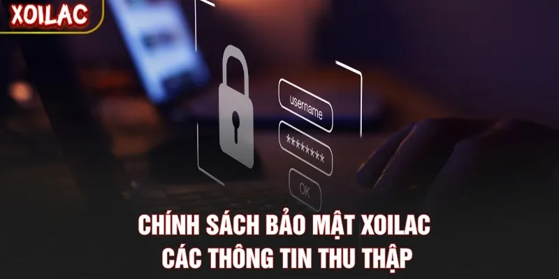 Chính sách bảo mật Xoilac - Các thông tin thu thập