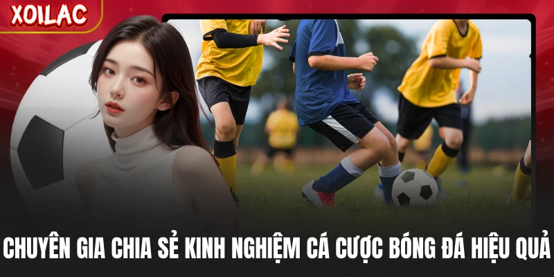 Chuyên gia chia sẻ kinh nghiệm cá cược bóng đá hiệu quả