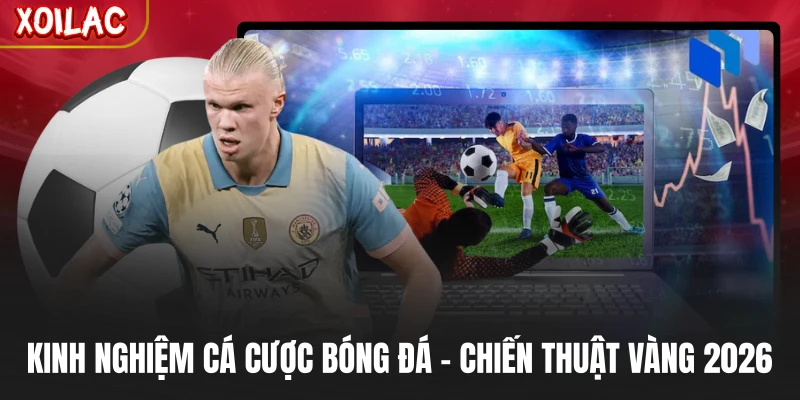 Kinh Nghiệm Cá Cược Bóng Đá - Chiến Thuật Vàng 2026