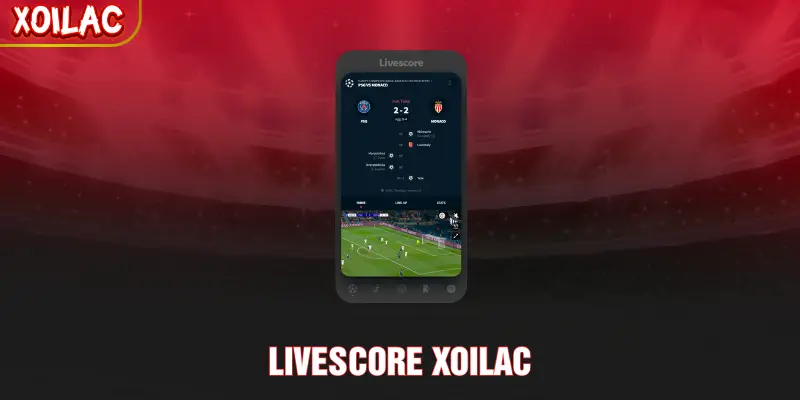 Livescore XOILAC - Cập Nhật Tỉ Số Trực Tiếp Nhanh 24/7