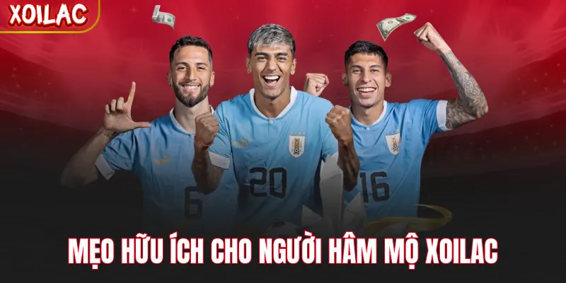 Mẹo hữu ích cho người hâm mộ Xoilac