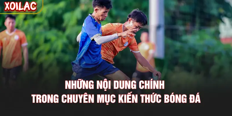 Những nội dung chính trong chuyên mục kiến thức bóng đá