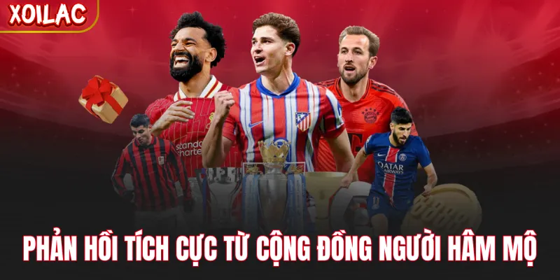 Phản hồi tích cực từ cộng đồng người hâm mộ