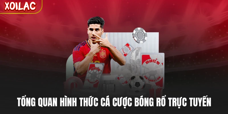 Tổng quan hình thức cá cược bóng rổ trực tuyến