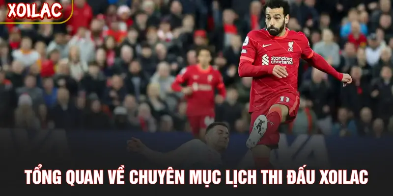 Tổng quan về chuyên mục lịch thi đấu XOILAC