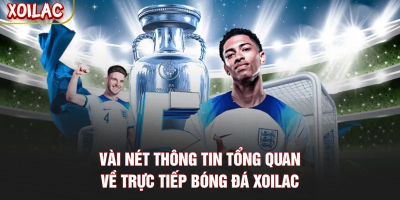 Vài nét thông tin tổng quan về trực tiếp bóng đá Xoilac