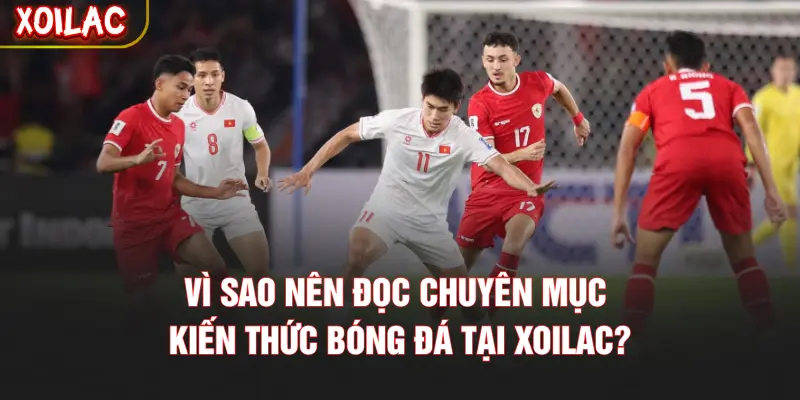 Vì sao nên đọc chuyên mục kiến thức bóng đá tại XOILAC?