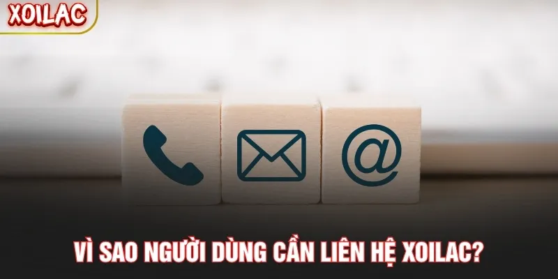 Vì sao người dùng cần liên hệ Xoilac?